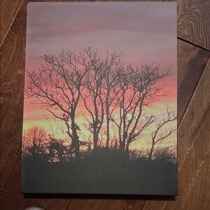Sunset Silhouette Canvas Art